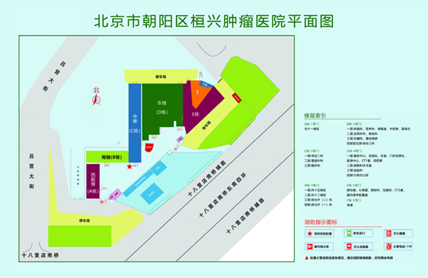 大鸡吧AV网址北京市朝阳区桓兴肿瘤医院平面图